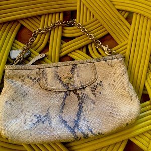 Coach snakeskin wristlet